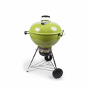 PARRILLA CARBON MASTER TOUCH 22 PUL VERDE WEB14511601